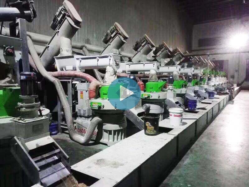 时产16吨的生物质颗粒机制粒视频